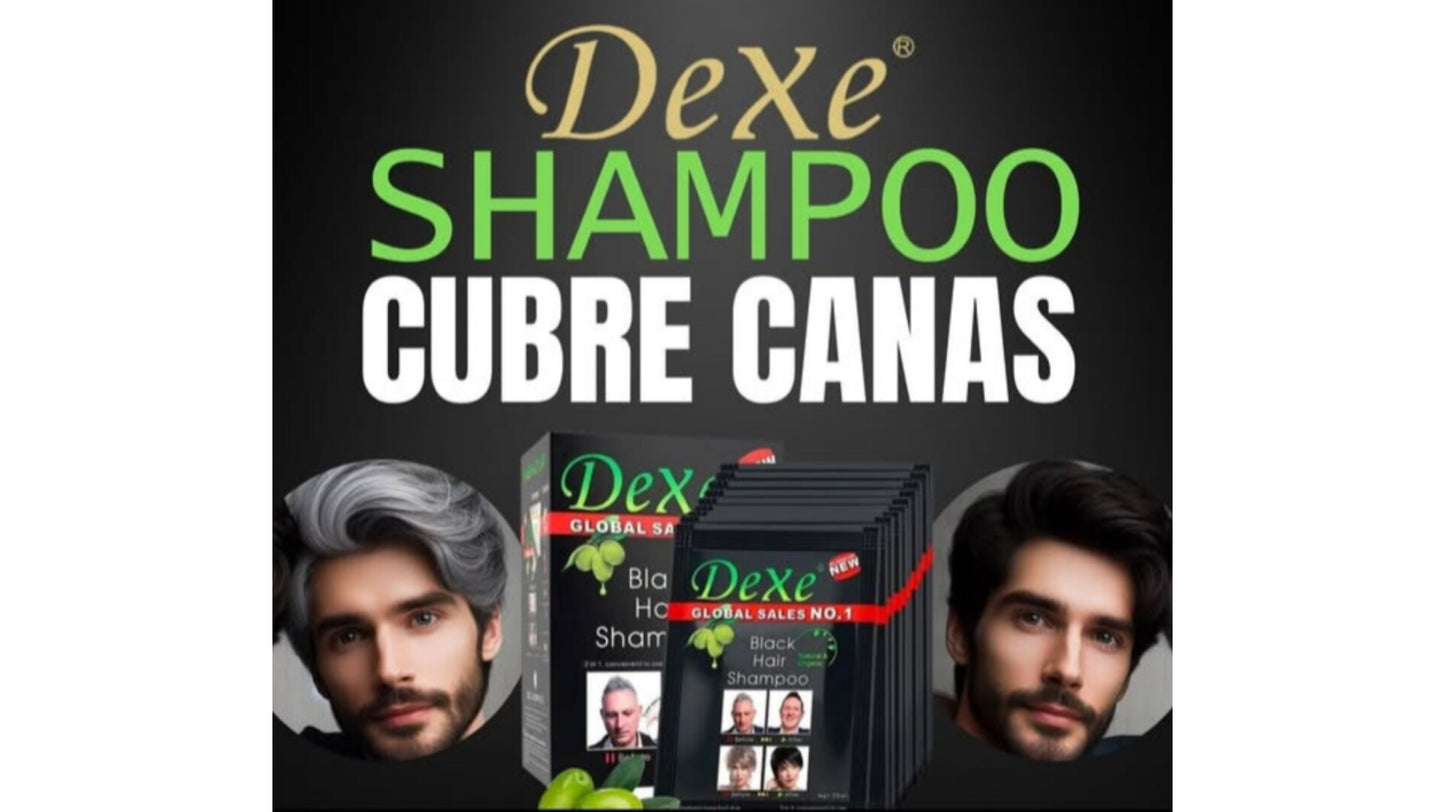 Shampoo Tinte Cubre Canas Negro