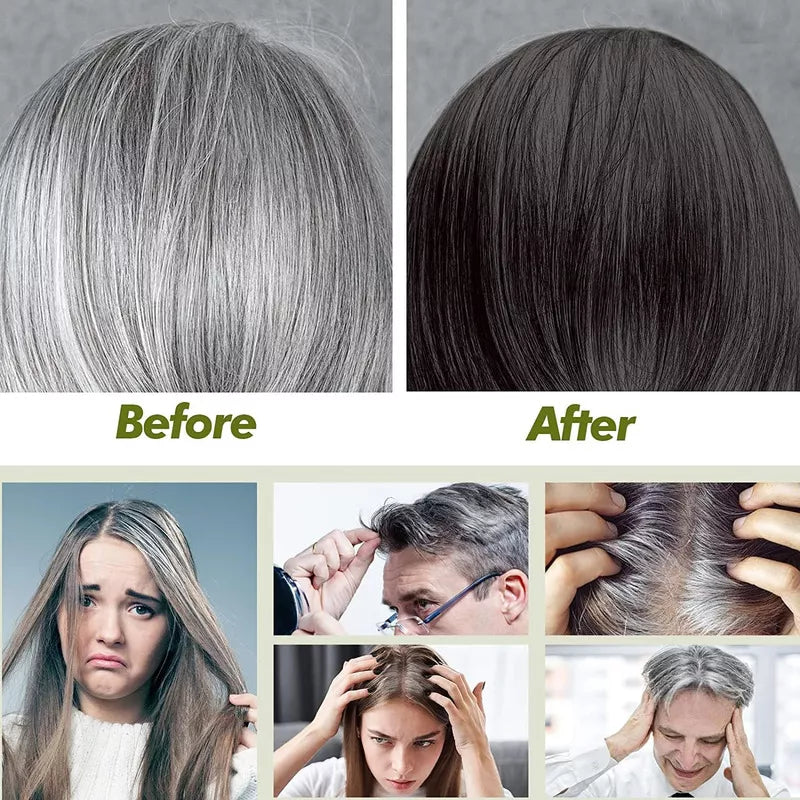 Shampoo Tinte Cubre Canas Negro