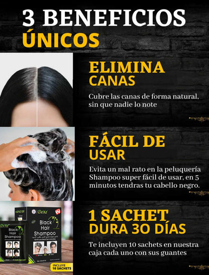 Shampoo Tinte Cubre Canas Negro
